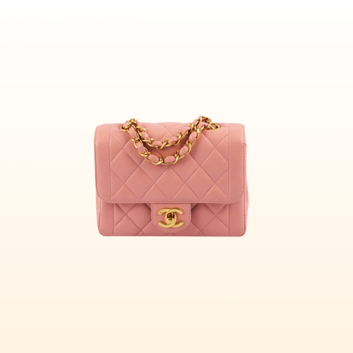 Smart Elegant Purse